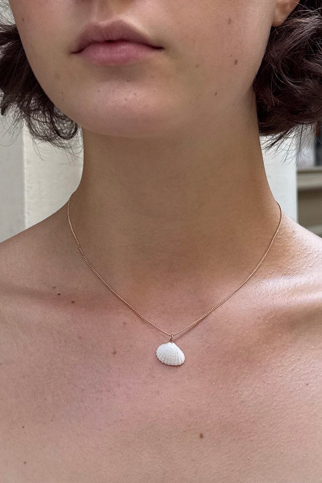 Seashell Necklace | 